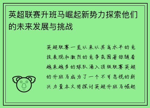 英超联赛升班马崛起新势力探索他们的未来发展与挑战 英超联赛升班马崛起新势力探索他们的未来发展与挑战